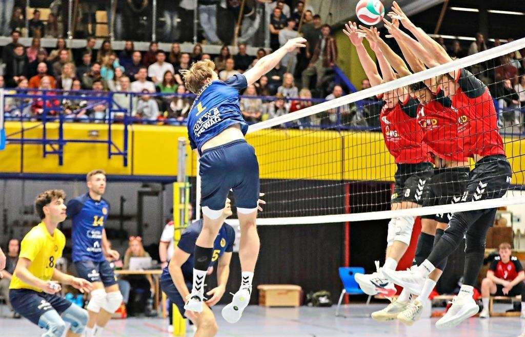 Donau Volleys Regensburg - Angriff um den Meistertitel