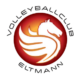 Logo VC Eltmann